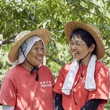 寺山佐智子 | 株式会社阿部農縁