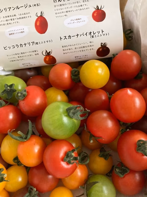 みんなの投稿の画像