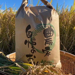 【新米】コシヒカリ 10㎏