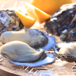 pecco oyster♡ぺっこおいすたー（生食用）