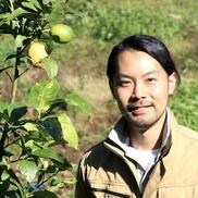 宇宙芋 エアーポテト 農家漁師から産地直送の通販 ポケットマルシェ