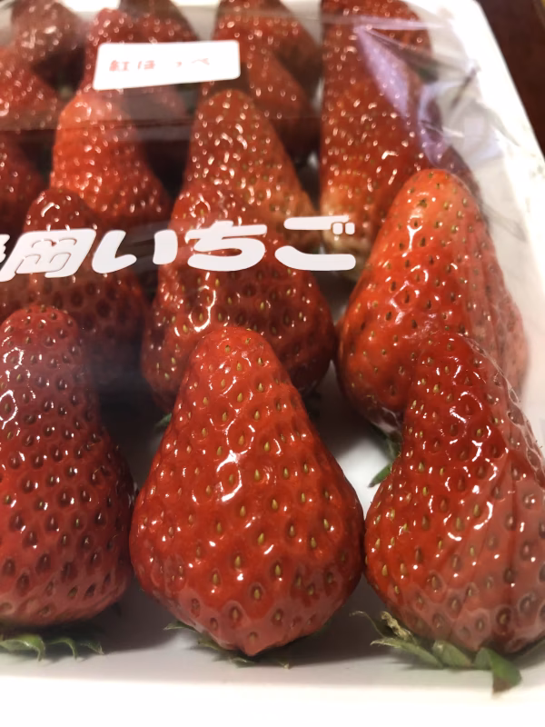 簡易包装 石垣イチゴ 500gパック