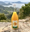 柑橘ミックスジュース(温州、はれひめ、ネーブル)　720ml　