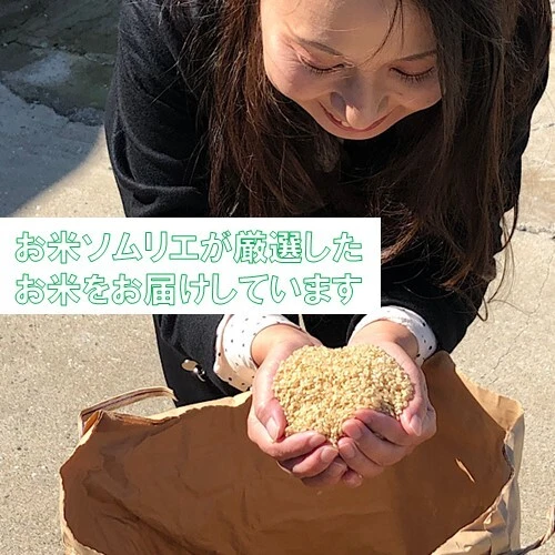 【新米】茨城県産コシヒカリ　風のひかり10kg（玄米）
