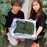 奈良哲也 | 奈良farm