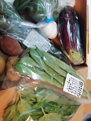 みんなの投稿の画像