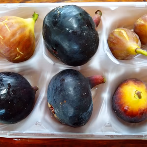 秋の希少いちじくお楽しみセット【農薬化学肥料不使用】和歌山県産　
