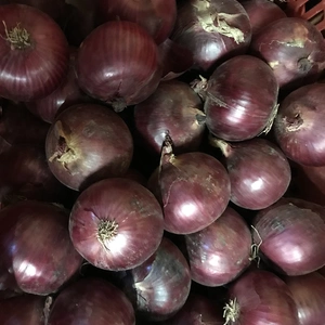 《北海道産》風味が豊か❗️紫玉ねぎ