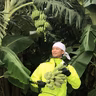 稻福建博