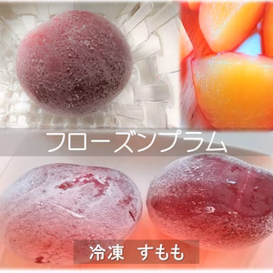 フローズンプラム　農薬不使用栽培 　冷凍すもも