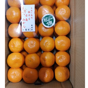 樹上完熟❢【Lサイズ】日南みかん❢  5kg懐かしの味！木成り日南有田みかん