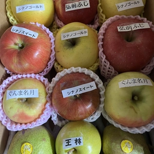 予約商品　11月以降　りんご玉手箱✨おまけ付き家庭用