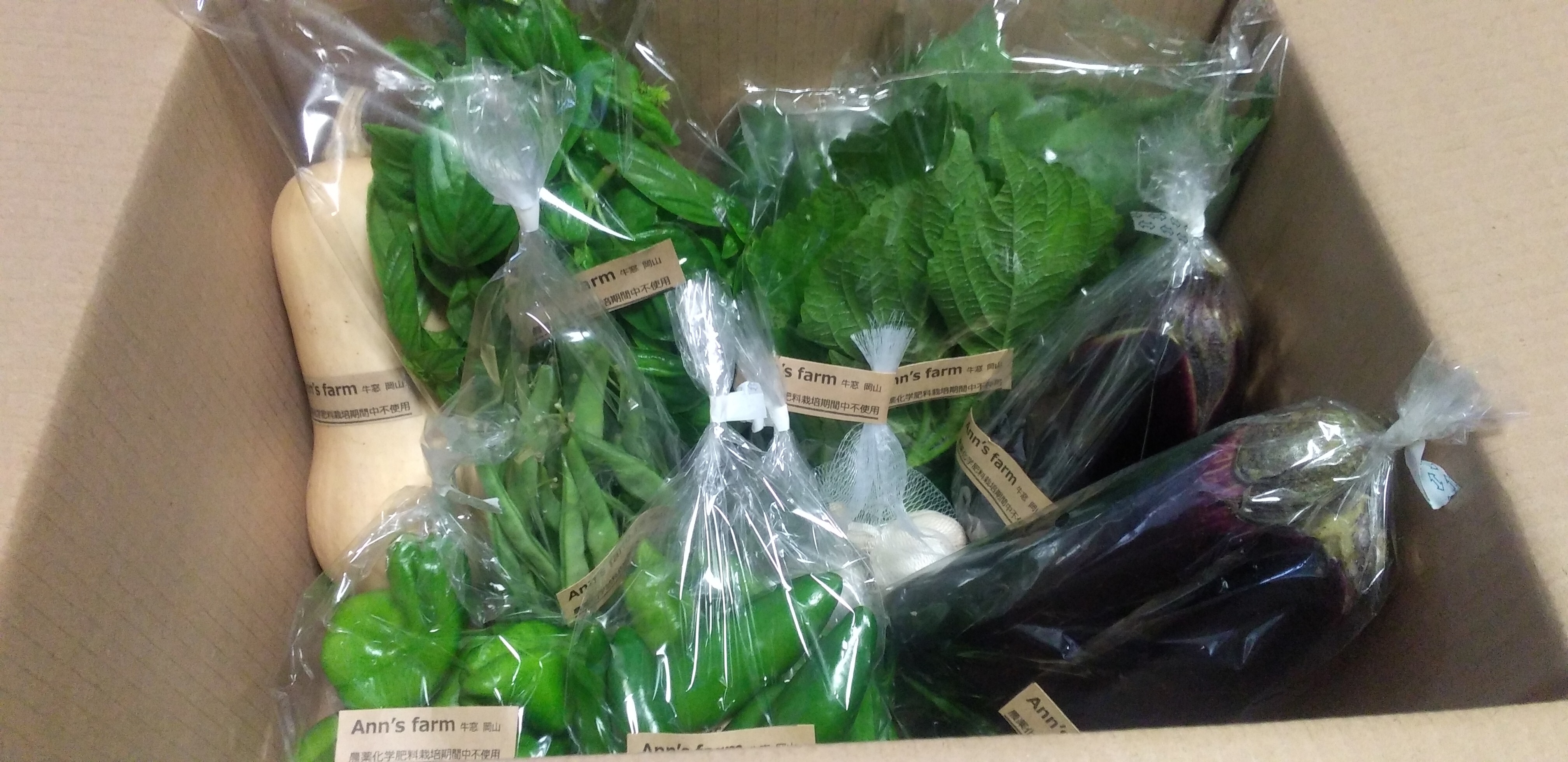 有機野菜セット おまかせ7品目 冷蔵便 | 箱売り野菜 | 地球畑