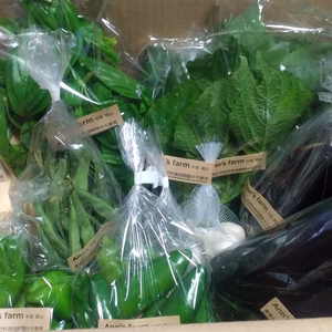 栽培期間中農薬、化学肥料不使用季節の旬の野菜セット8~10品目80サイズ