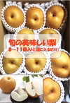 甘さあふれる旬 梨 豊水  梨 秋感じる一品   冷蔵発送 6〜10個入り