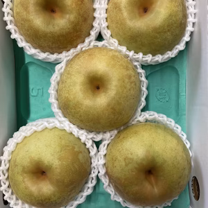 《８月半ば〜》希少　秋麗梨　2キロ前後(数量限定)贈答用