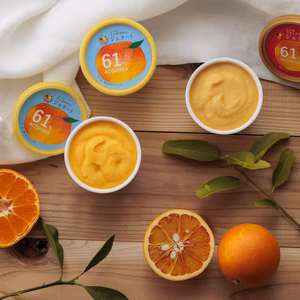 ブラッドオレンジジェラート　18個セット　果汁61％使用！