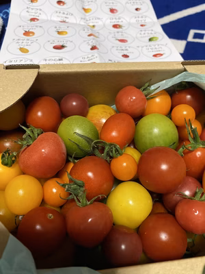 みんなの投稿の画像