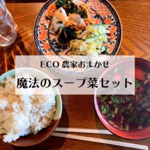 New❷月二便★ECO農家おまかせ魔法のスープ菜セット★5-10月クール便●