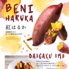 【都城産】長期熟成！宮崎産さつまいも紅はるか 1kg