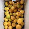 極早生（日南）S~L　約箱込5kg　家庭用　岩国みかん