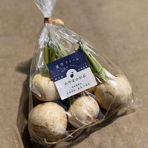 【農薬不使用・化学肥料不使用】甘みと瑞々しさが際立つ伝統野菜☆古代小かぶ