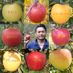 常温便！毎月１回お届け✨旬のりんご大きさ不揃い家庭用