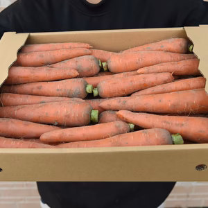 有機JASにんじん 約4㎏　※栽培期間中農薬＆除草剤＆化学肥料不使用※