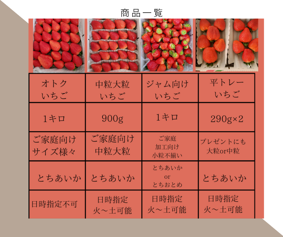 おトク ぶたやさんちのとちあいか(中粒大粒たまに小粒) ｜いちごの商品