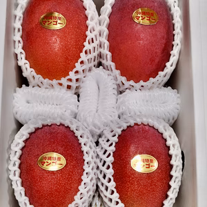 伊江島産マンゴー（優品・2kg・4〜6個入り）