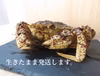 メス1kg程度☆☆活トゲクリガニ