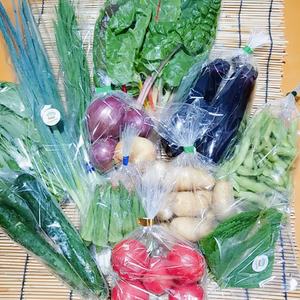 野菜セット【小暑～】魚の町で長年育ててもらった野菜７～９品目