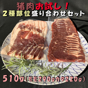 猪肉お試し！２種部位盛り合わせセット！510ｇ