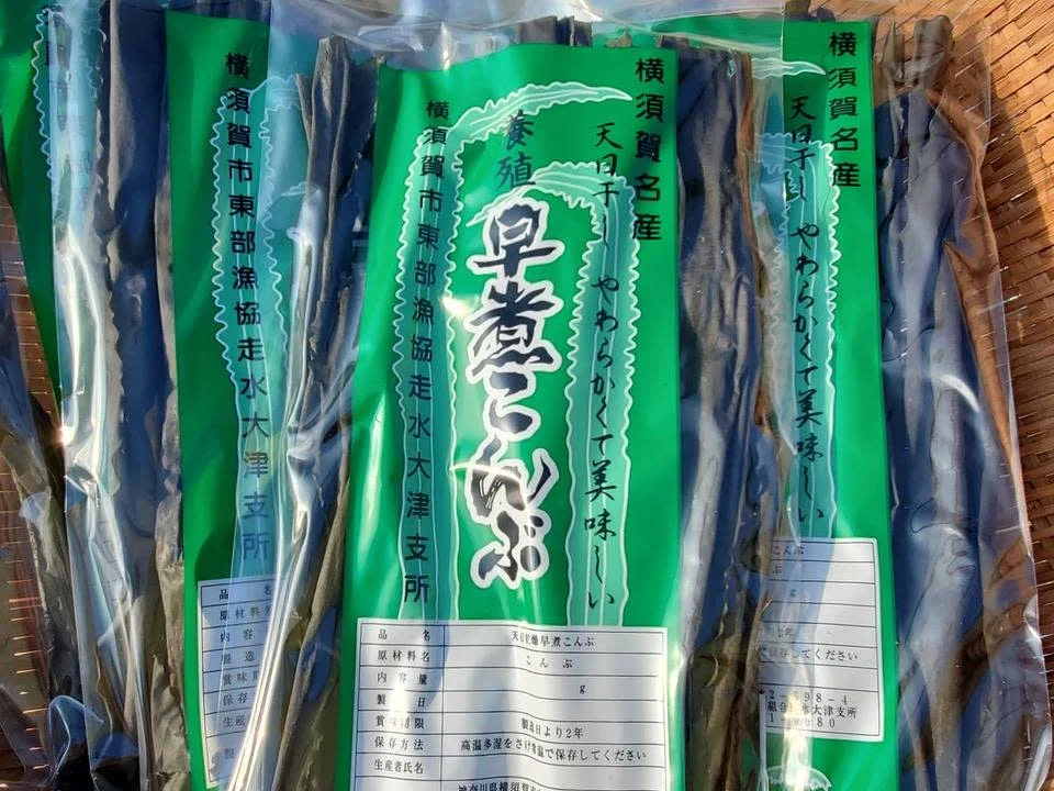 一名様限定価格 北海道産 真昆布 3kg 2年養殖-