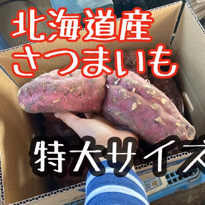 【大セール】特大さつまいも