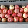 【母の日ギフト】葉とらずりんごのジュース3本セット