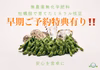 早期予約特典あり！5月中旬からの発送！無農薬無化学肥料の枝豆