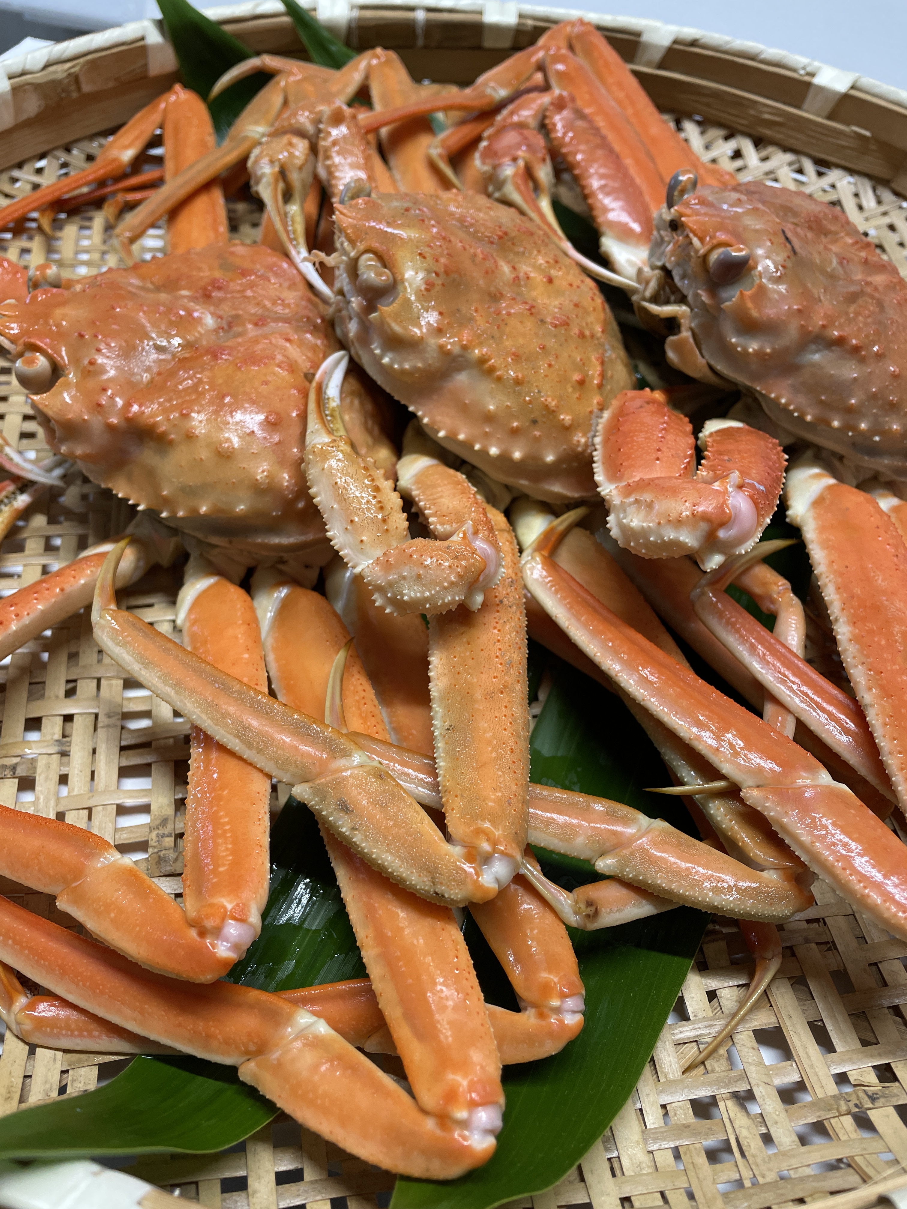 蟹の産直通販・お取り寄せ商品｜ポケットマルシェ｜産地直送で旬の食材が生産者(農家・漁師)から届く