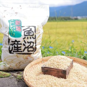10月発送】令和3年産　南魚沼コシヒカリ（玄米）【新米予約