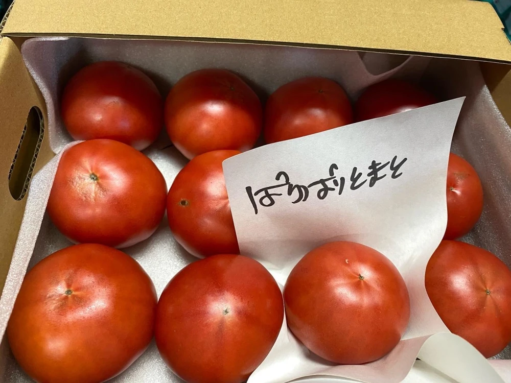 本当のトマトの味と香り　ぱりぱりとまと® バラ詰め2kg入り　厳選ハウス桃太郎