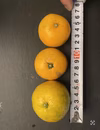 減農薬　小玉みかん　有田みかん　2s3sサイズ　産地直送　訳あり