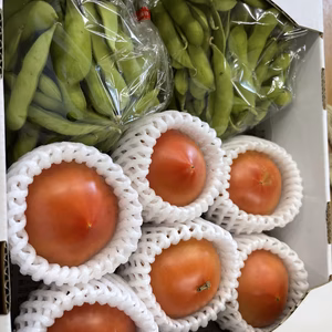 【期間限定】旬の夏野菜セット トマト&枝豆　冷蔵便