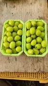 家庭用シャインマスカット粒　1kg
