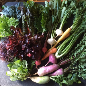 クリスマス野菜セット！簡単野菜料理で彩り豊かで華やかに！（※12/21発送）