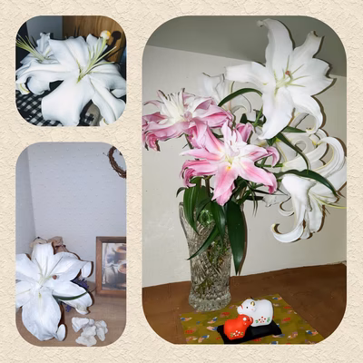 みんなの投稿の画像