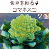 ブロッコリーが苦手な人も♡ロマネスコ　栃木県産　2個