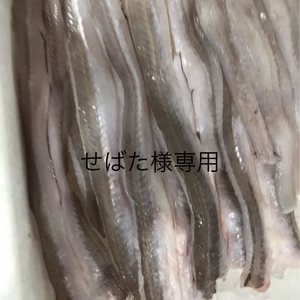 せばた様専用