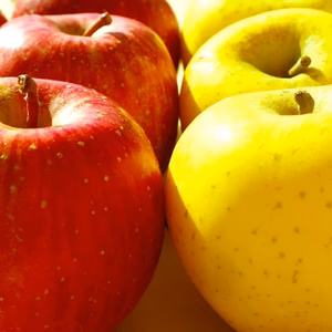 【山形県産 サンふじ＋シナノゴールドセット】5kg 中玉秀品各８～１０個入