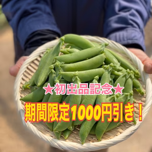 5歳の娘の箸が止まらない(*≧∀≦*)ぷりっぷりスナップえんどう