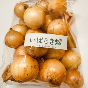 JGAP認証を受けている農業法人の安心・新鮮ペコロス／茨城県かすみがうら市産